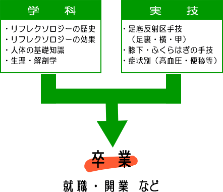 フットセラピスト(リフレクソロジー)コースの授業内容