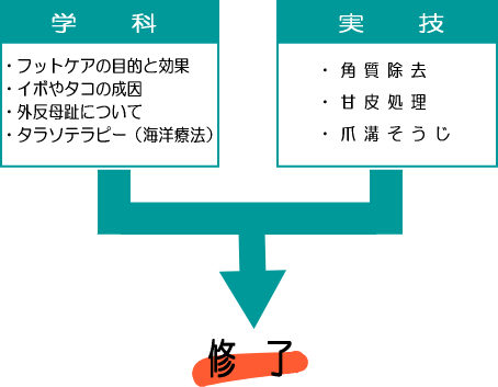 フットケア(足の角質除去)講習・授業内容