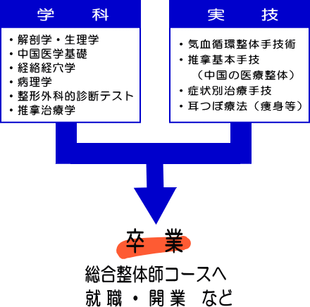 【学科】・解剖学・生理学・中国医学基礎・経絡経穴学・病理学・整形外科的診断テスト・推掌治療学。【実技】・気血循環整体手技術・推拿基本手技(中国の医療整体)・症状別治療手技・耳つぼ療法(痩身等)⇒卒業 就職・開業など