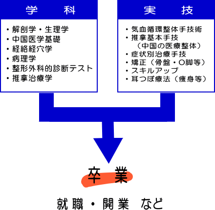 【学科】・解剖学・生理学・中国医学基礎・経絡経穴学・病理学・整形外科的診断テスト・推掌治療学。【実技】・気血循環整体手技術・推拿基本手技(中国の医療整体)・症状別治療手技・骨格矯正・スキルアップ・耳つぼ療法(痩身等)⇒卒業 就職・開業など